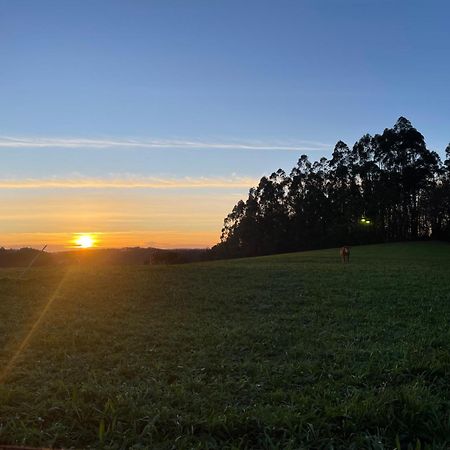 Vila La Casa Da Pipa Cesuras Exteriér fotografie