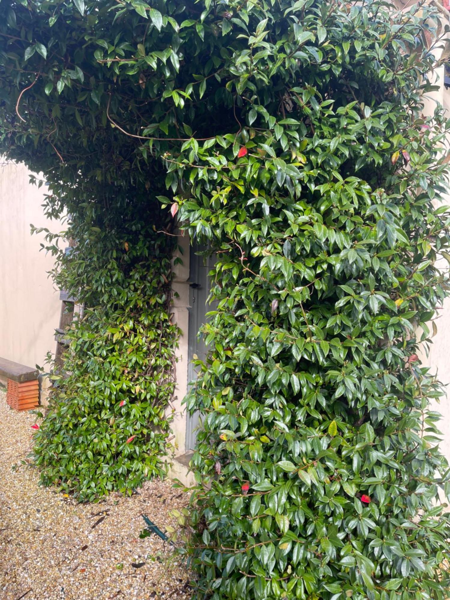 Vila La Casa Da Pipa Cesuras Exteriér fotografie