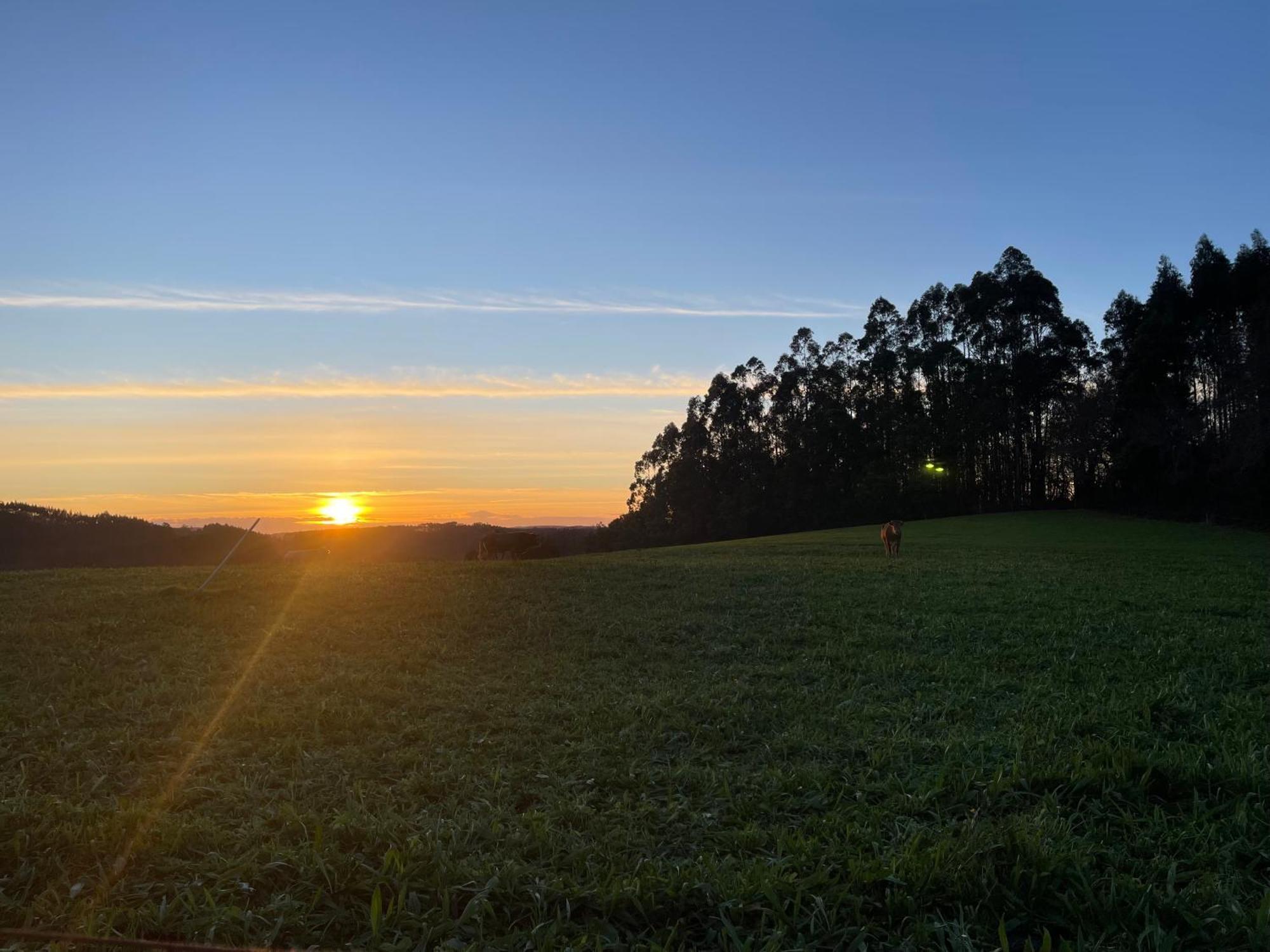 Vila La Casa Da Pipa Cesuras Exteriér fotografie